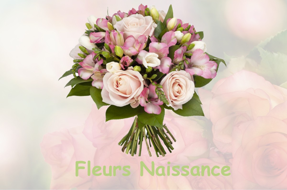 fleurs naissance CHOZEAU