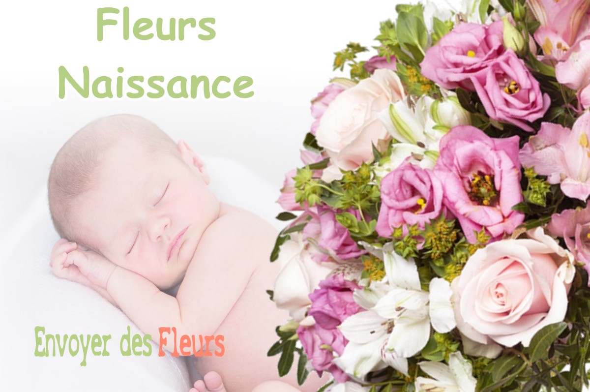 lIVRAISON FLEURS NAISSANCE à CHOZEAU